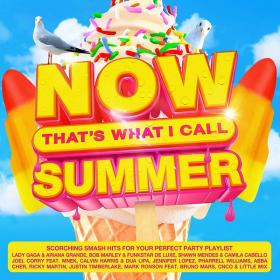 NOW That's What I Call Summer (4CD) (2021) FLAC [PMEDIA] ⭐️