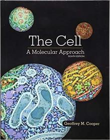 The Cell A Molecular Approach, 8th Edition