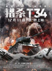 梦幻天堂·龙网() 1080p 猎杀T34 T-34：玩命坦克