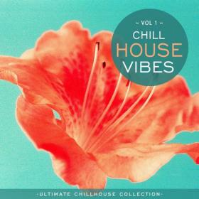 VA - Chill N Chill - Chill House Vibes Vol 1 Ultimate Chill House Collection (2021)