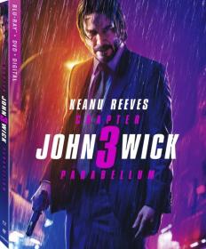 John Wick 3 2019 x264 720p Esub BluRay Dual Audio English Hindi THE GOPI SAHI GOPI SAHI