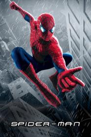 Spiderman 1 2002 x264 720p Esub BluRay Dual Audio English Hindi THE GOPI SAHI