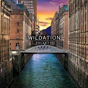 Wildation - 2021 - Polarity