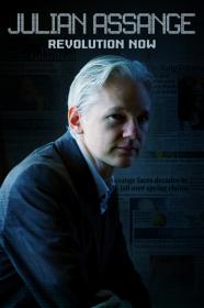 Julian Assange Revolution Now (2020) [1080p] [WEBRip] <span style=color:#39a8bb>[YTS]</span>