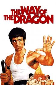 The Way Of The Dragon 1972 REMASTERED DUBBED BRRip XviD<span style=color:#39a8bb> B4ND1T69</span>