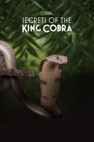 Secrets Of The King Cobra (2010) [1080p] [WEBRip] [5.1] <span style=color:#39a8bb>[YTS]</span>