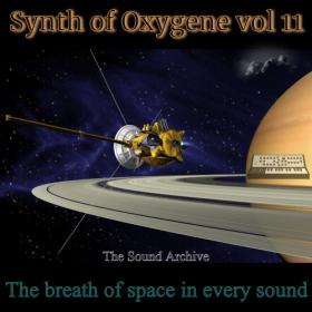 VA - Synth of Oxygene vol 11 [2021]