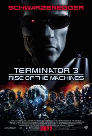 Terminator 3 Rise of The Machines (2003) [A Schwarzeneger] 1080p H264 DolbyD 5.1 ⛦ nickarad