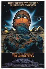 The Awakening 1980 1080p BluRay x264 FLAC 2 0-HANDJOB