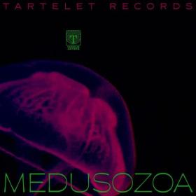 VA - Medusozoa (2021) MP3