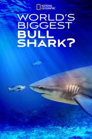 Worlds Biggest Bull Shark (2021) [720p] [WEBRip] <span style=color:#39a8bb>[YTS]</span>