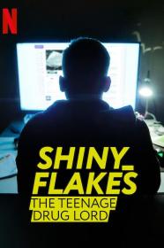 【更多高清电影访问 】暗网青年毒枭[中文字幕] Shiny_Flakes The Teenage Drug Lord 2021 NF 1080p WEB-DL DDP5.1 H264-10006@BBQDDQ COM 3.14GB