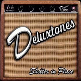 Deluxtones - 2021 - Shelter in Place (FLAC)