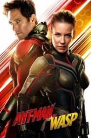 Ant-Man And The Wasp 2018 720p BluRay x264 [MoviesFD]