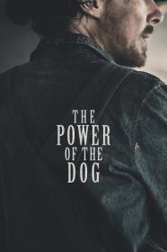 The Power Of The Dog (2021) [720p] [WEBRip] <span style=color:#39a8bb>[YTS]</span>