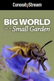 Big World In A Small Garden (2016) [720p] [WEBRip] <span style=color:#39a8bb>[YTS]</span>