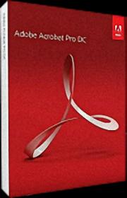 Adobe Acrobat Pro DC 2021.007.20091 Final x86 x64
