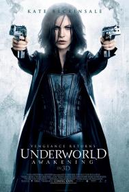 Underworld Awakening (2012) 720p BluRay x264 Hindi English AAC 5.1 - SP3LL