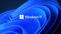 Windows 11 X64 [DEV Build] PRO.EDU.ENT.HOME