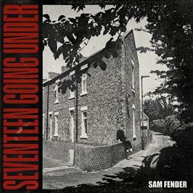 Sam Fender - Seventeen Going Under (Deluxe) (2021) [24 Bit Hi-Res] FLAC [PMEDIA] ⭐️