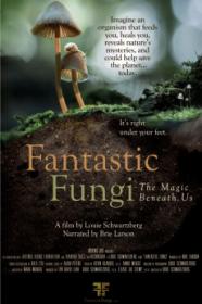 Fantastic Fungi (2019) [2160p] [4K] [WEB] [5.1] <span style=color:#39a8bb>[YTS]</span>