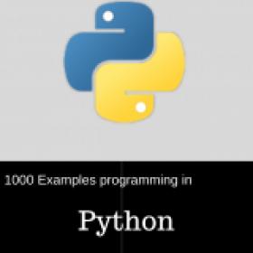 1000 Examples Programming In Python