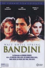 Wait Until Spring Bandini (1989) [720p] [WEBRip] <span style=color:#39a8bb>[YTS]</span>