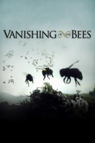 Vanishing Of The Bees (2009) [1080p] [WEBRip] <span style=color:#39a8bb>[YTS]</span>