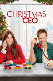 Christmas CEO (2021) [720p] [WEBRip] <span style=color:#39a8bb>[YTS]</span>