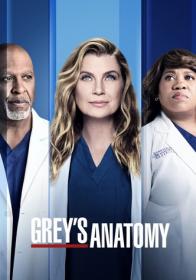 [ OxTorrent be ] Grey's Anatomy S18E08 SUBFRENCH WEBRip x264<span style=color:#39a8bb>-FRATERNiTY</span>