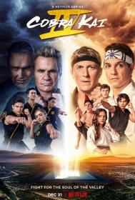 Cobra Kai S04 NF COMPLETE 720p WEB H264<span style=color:#39a8bb>-CAKES</span>