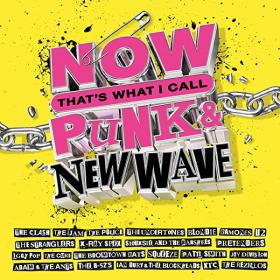 VA - NOW That's What I Call Punk & New Wave (4CD) (2022) FLAC [PMEDIA] ⭐️