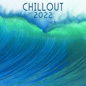 VA - Chill Out 2022 (Compiled by DoctorSpook) (2021)