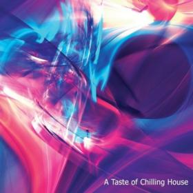 VA - A Taste of Chilling House (2021)