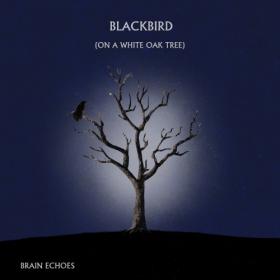 Brain Echoes - Blackbird (On A White Oak Tree) (2021)