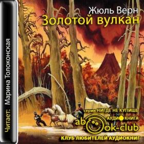 Верн Жюль – Золотой вулкан [Толоконская Марина]