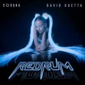 David Guetta - redruM [2022][MP3][320 kbps]