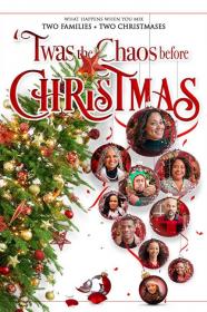 Twas The Chaos Before Christmas (2019) [720p] [WEBRip] <span style=color:#39a8bb>[YTS]</span>