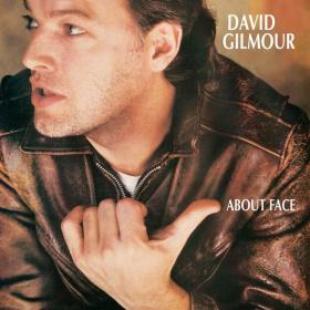 David Gilmour - About Face (1984 - Rock) [Flac 24-96]