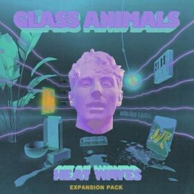 Glass Animals - Heat Waves (Expansion Pack) (2021) Mp3 320kbps [PMEDIA] ⭐️