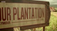 Death in Paradise Season 2 Episode 1 Murder on the Plantation MP4 720p H264 WEBRip EzzRips
