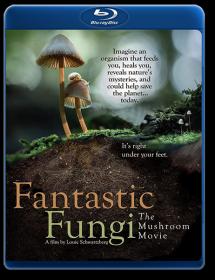 Fantastic Fungi 2019 BDRip 1080p Rus Eng <span style=color:#39a8bb>-HELLYWOOD</span>