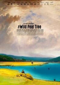 [ 高清电影之家 mkvhome com ]野梨树[简繁字幕] The Wild Pear Tree 2018 BluRay 1080p DTS-HD MA 5.1 x265 10bit-ALT 10 16GB