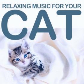 VA - Relaxing Music for Your Cat (2021)
