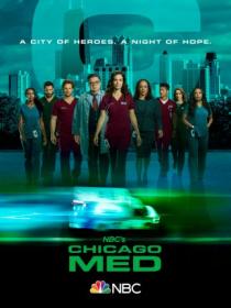 Chicago Med S05 FRENCH LD AMZN WEB-DL x264<span style=color:#39a8bb>-FRATERNiTY</span>