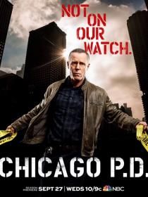 Chicago P.D. S05 FRENCH HDTV XviD-T911