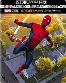 Spider-Man Homecoming (2017) 2160p H265 10 bit ita eng AC-3 5 1 sub ita eng Licdom