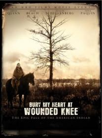 Bury My Heart at Wounded Knee (2007) 720p 10bit WEBRip x265-budgetbits