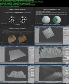 [ CourseHulu.com ] VFX Grace - Jaguar Grooming Workflow Blender Case Study