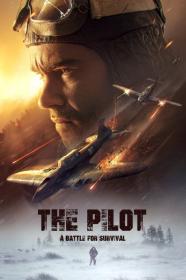 The Pilot  A Battle For Survival (2021) [720p] [BluRay] <span style=color:#39a8bb>[YTS]</span>